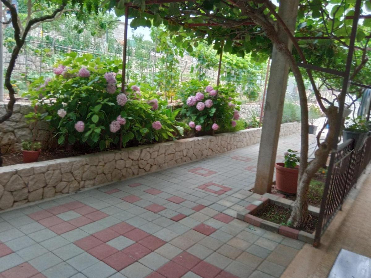 Apartment Tea-1 Donji Okrug  Exterior photo